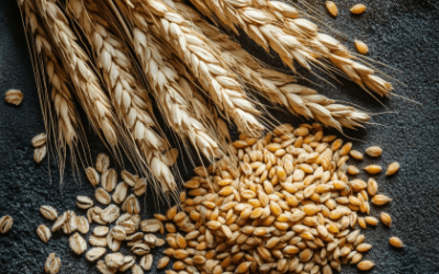 How Is Grain Weight Measured?