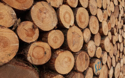 What Is Used To Calculate The Weight Of Timber?