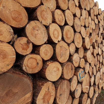 What Is Used To Calculate The Weight Of Timber?